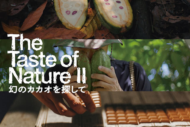 The Taste of Nature II 幻のカカオを探して
