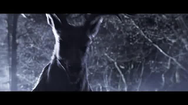 本予告（30秒）