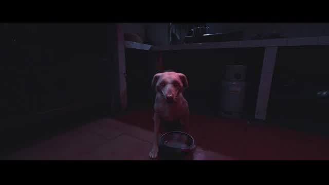 予告編（90秒）