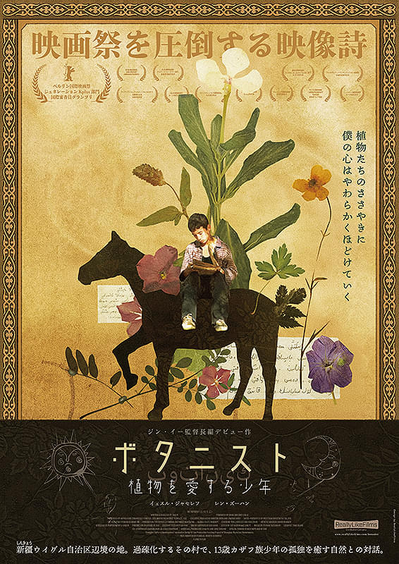 画像16