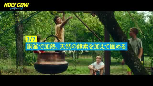 チーズ作りスペシャル動画