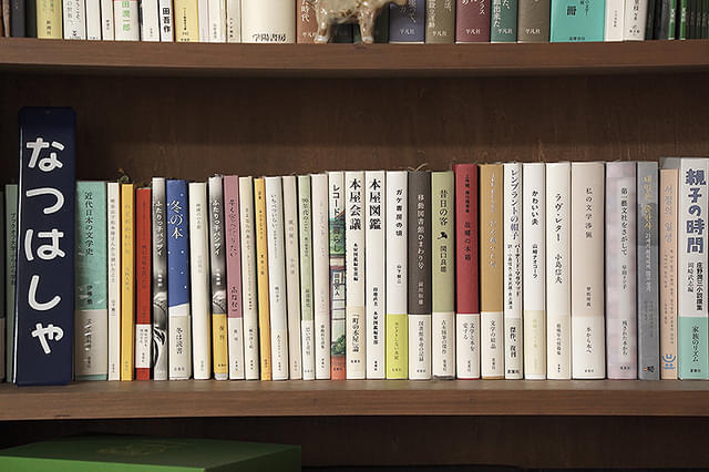 ジュンについて