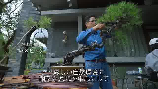 解説動画：スタッフ編
