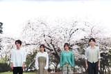 画像34