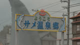 画像17