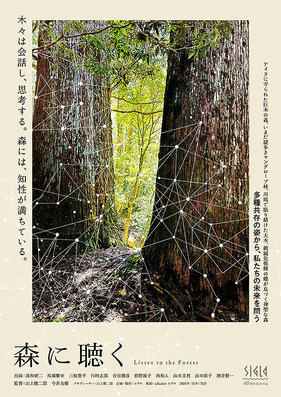 森に聴く Listen to the Forest