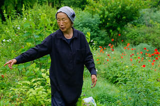 大地に詩を書くように