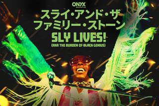 スライ・アンド・ザ・ファミリー・ストーン Sly Lives! (aka The Burden of Black Genius)
