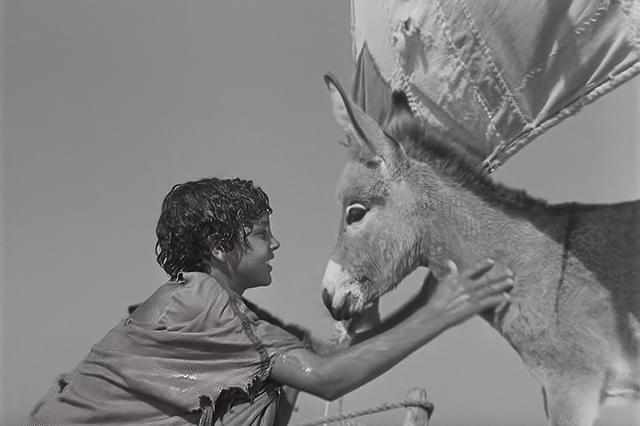 小さなロバ、ビム