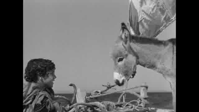 「赤い風船 4K」「白い馬 4K」＋公開記念特集上映「アルベール・ラモリスの知られざる世界」予告編