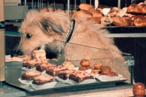 メドールの帝国