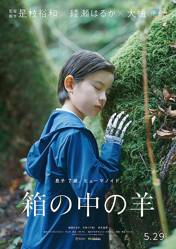 箱の中の羊 : フォトギャラリー 画像 - 映画.com