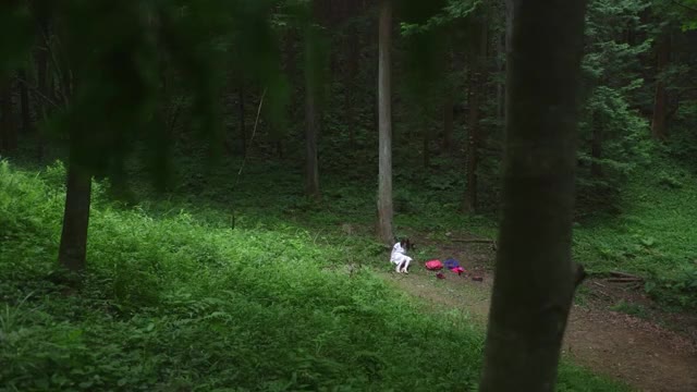 本編映像