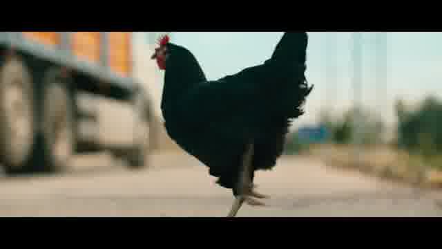 雌鶏 : 作品情報・キャスト・あらすじ・動画 - 映画.com