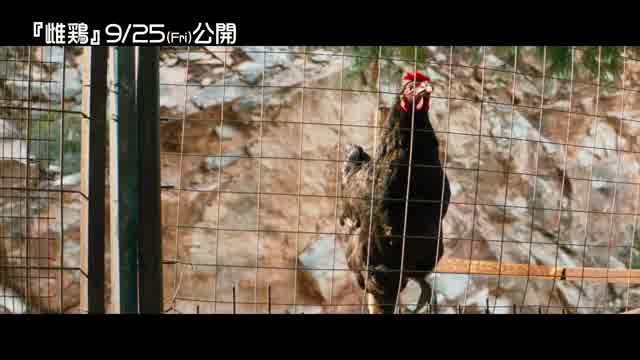 本編映像