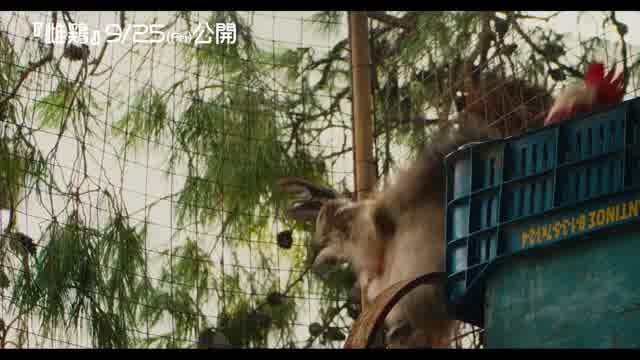 メイキング映像