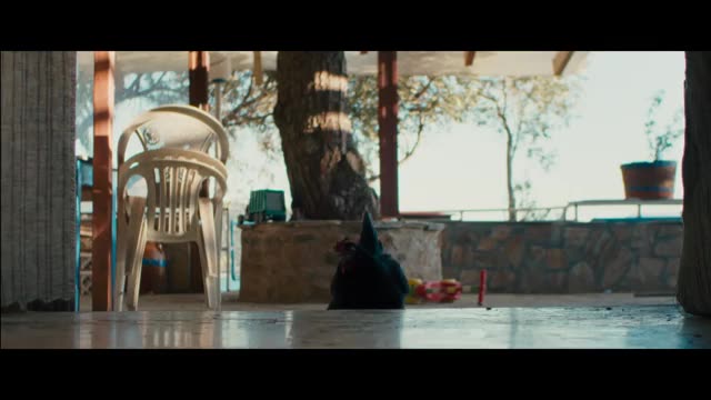 冒頭映像