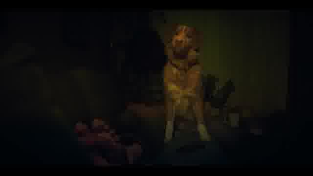 本編映像：冒頭映像