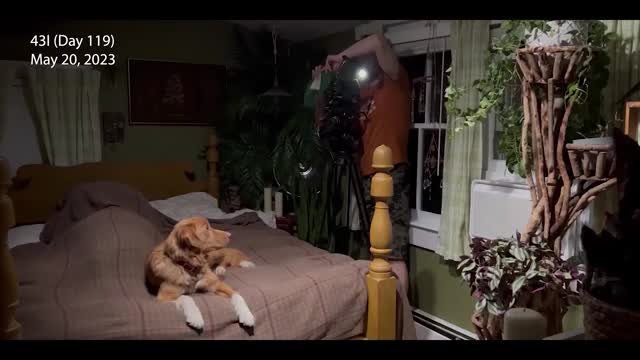 メイキング映像