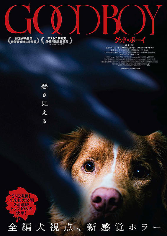 画像9