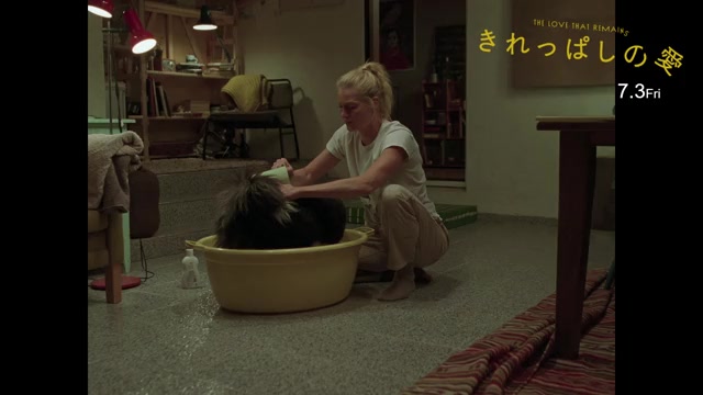 本編映像：愛犬パンダのシャンプー