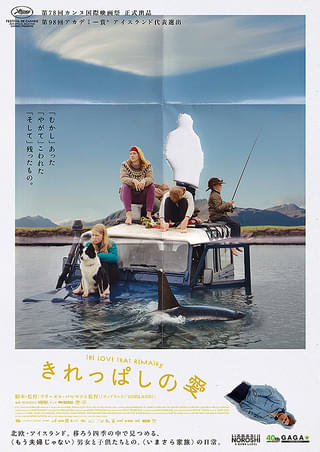 画像15