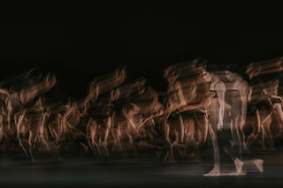 英国ロイヤル・バレエ＆オペラ in シネマ 2025/26 ロイヤル・バレエ「ウルフ・ワークス」