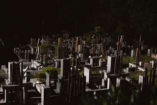 画像11