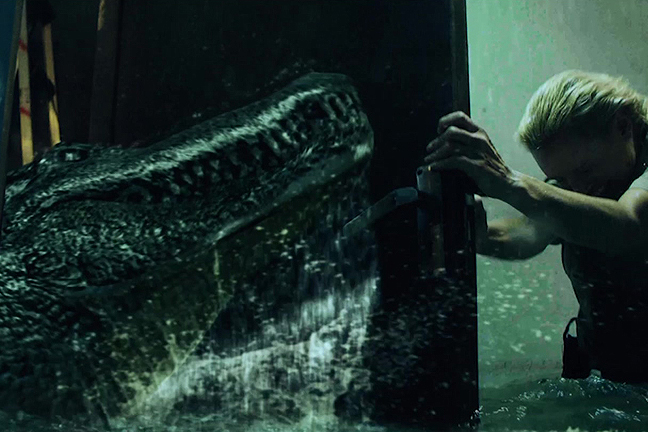 アリゲーター：暴水領域