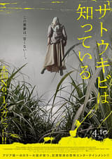 サトウキビは知っている