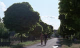 画像15