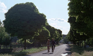 画像15