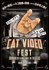 CatVideoFest