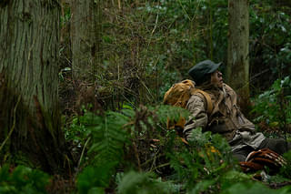 脛擦りの森の予告編・動画