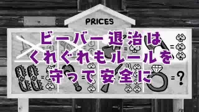 ビーバー捕獲マナー講座