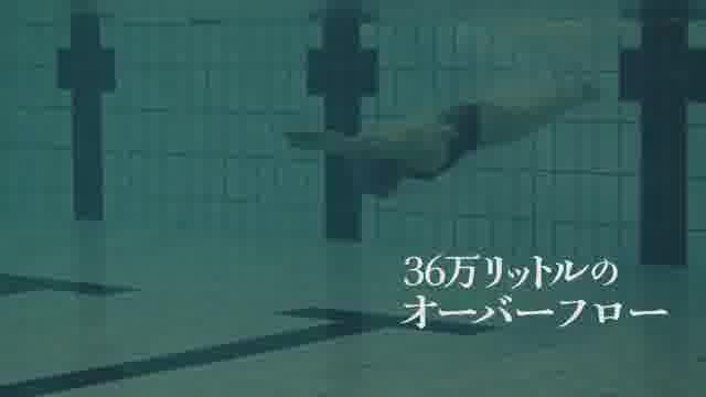 予告編