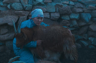 The Wolves Always Come at Night