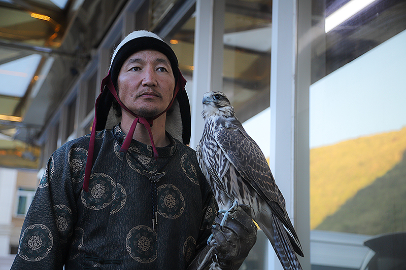 SHUVUULAKHUI ～ハヤブサと男