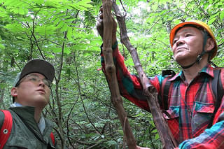山人(やまんど) 縄文の響きが木霊する