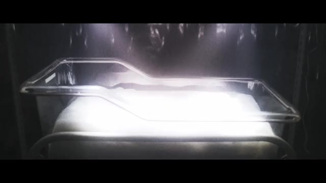 ティザー映像