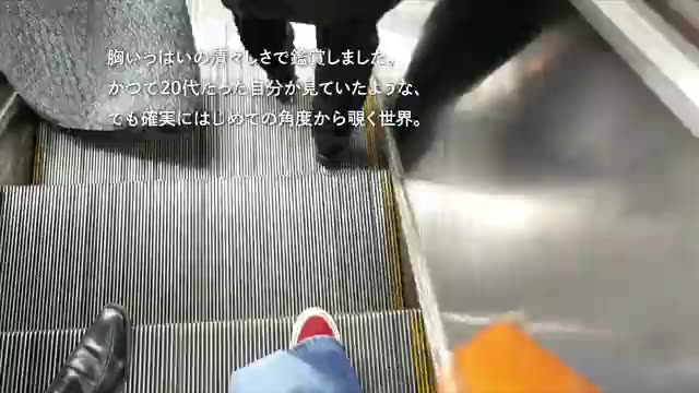 予告編