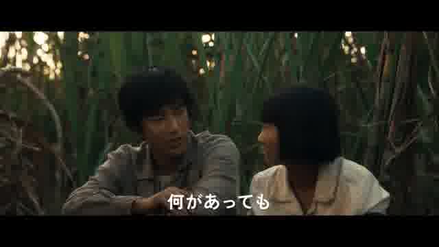 予告編