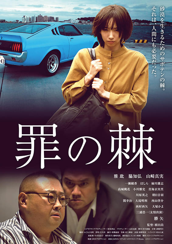 画像20