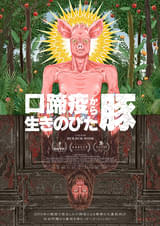 口蹄疫から生きのびた豚