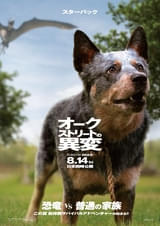 画像25
