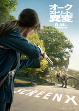 画像20