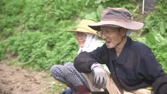 予告編