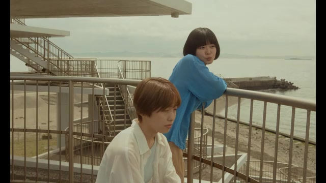 予告編