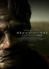 画像23