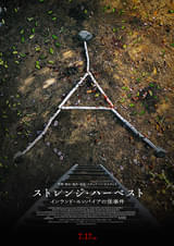 画像25